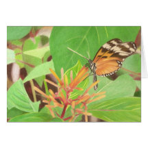 mariposa felicitacion 