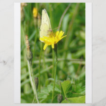 Mariposa Flyer Personalizado