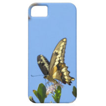 Mariposa gigante de Swallowtail iPhone 5 Case-Mate Protector