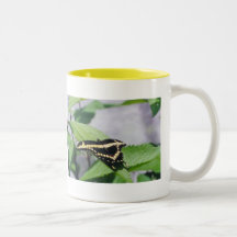 Mariposa GIGANTE de SWALLOWTAIL - taza