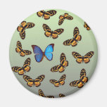 mariposa imán de frigorifico
