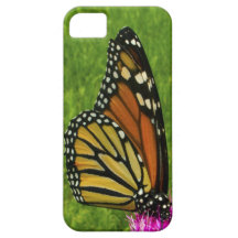 Mariposa iPhone 5 Funda