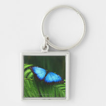 mariposa llaveros