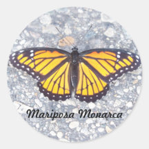 Mariposa Monarca Pegatina Redonda