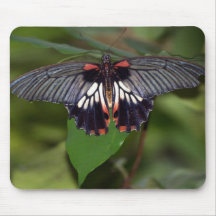 Mariposa Mousepad