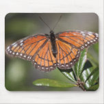 Mariposa Mousepad