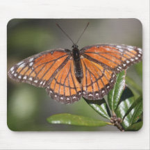 Mariposa Mousepad