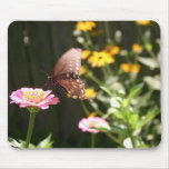 Mariposa negra de Swallowtail en Zinnia rosado Tapetes De Ratones