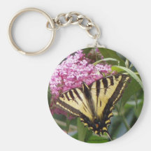Mariposa occidental de Swallowtail del tigre en li Llavero