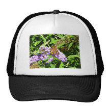 Mariposa ocupada gorra