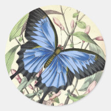Mariposa Pegatinas