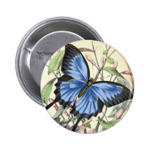 Mariposa Pins