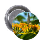Mariposa Pins