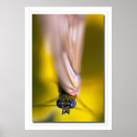 Mariposa pintada poster