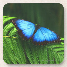 mariposa posavasos de bebida