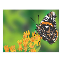 Mariposa Postales