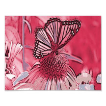 Mariposa rosada en la flor de Digitaces Arte Fotografico
