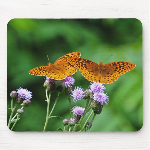 Mariposa Tapete De Ratones