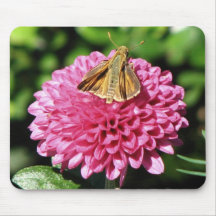 Mariposa Tapetes De Raton