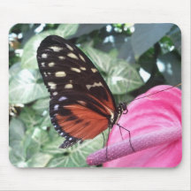 Mariposa Tapetes De Ratones