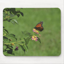 Mariposa Tapetes De Ratones