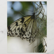 mariposa tarjeta publicitaria