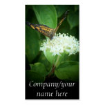 Mariposa Tarjetas De Visita