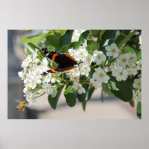 Mariposa y abeja impresiones