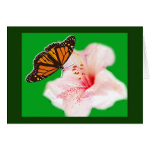 mariposa y flor felicitaciones
