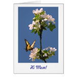 Mariposa y flores para la mamá tarjeton