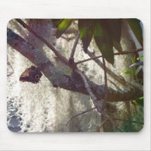 Mariposa y musgo Sunlit Mousepad Alfombrilla De Ratón