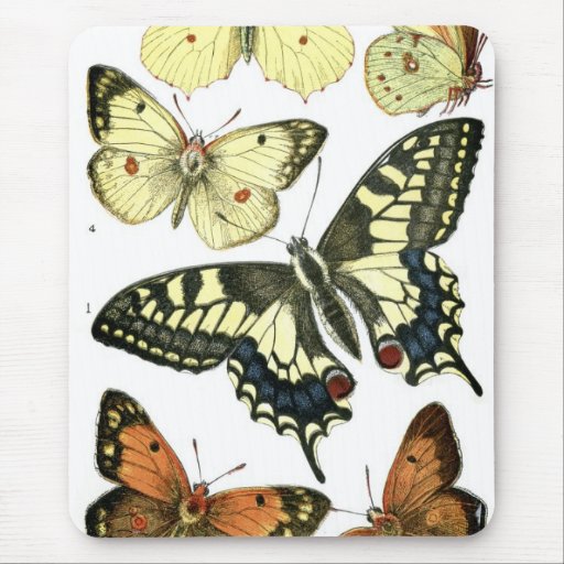 Mariposas Alfombrillas De Raton