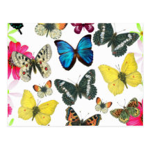 Mariposas coloridas del amarillo del rojo azul del tarjetas postales