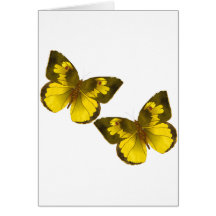 Mariposas de oro preciosas tarjetón