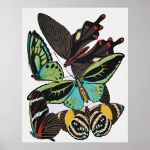 Mariposas del art déco poster