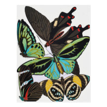 mariposas del art déco tarjetas postales