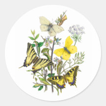 Mariposas hermosas etiquetas  