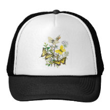 Mariposas hermosas gorras de camionero