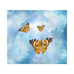 Mariposas hermosas impresiones de lienzo