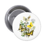 Mariposas hermosas pin