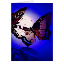 Mariposas - mariposa felicitacion 