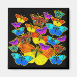 ¡Mariposas! ¡Mariposas!  Imán