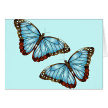 Mariposas salvajes felicitacion 