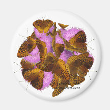 Mariposas y floraciones iman para frigorífico