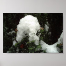 Mariquita en el poster de la nieve