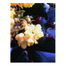 Mariquita en flores amarillas tarjeta postal