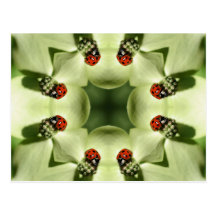 Mariquita en la postal del arte del caleidoscopio 