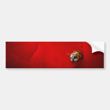 Mariquita en rosa rojo etiqueta de parachoque