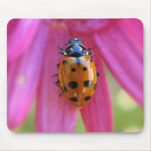Mariquita Mousepad