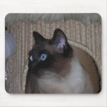 Mariquita Mousepad Alfombrilla De Ratones